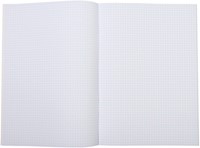 Schrift Qbasic A4 ruit 5mm 80blz 70gr assorti 1 Stuk-2