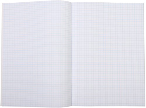 Schrift Qbasic A4 ruit 5mm 80blz 70gr assorti 1 Stuk-2