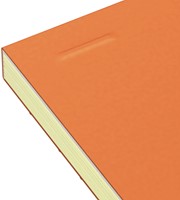 Cursusblok Oxf Everyday A4+ ln 4g 160pag 80gr or 1 Stuk-2