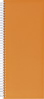 Notitieboek 135x330mm lijn 160blz 70gr spiraal or 1 Stuk