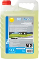 Ruitenvloeistof ProPlus zomer kant en klaar 5L 1 Stuk
