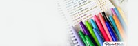 Fineliner Papermate Flair Metallic M 6st assorti 6 Stuk-2