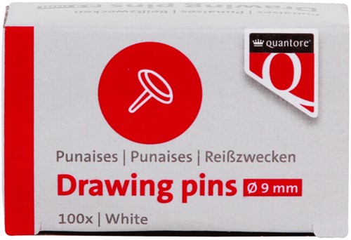 Punaises Quantore zilver 100 stuks 100 Stuk