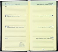 Agenda 2026 Brepols Interplan Colora 7d/2p assorti 1 Stuk-2