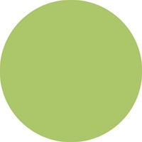 Viltstift STABILO Pen 68/34 M pistache 1 Stuk-3