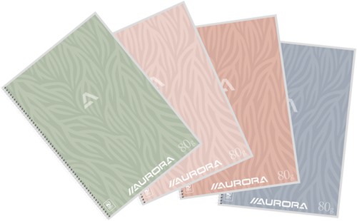 Schrift Aurora A4 lijn 120pag 80gr assorti 1 Stuk