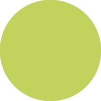 Fineliner STABILO point 88/14 F vleugje limoen 1 Stuk-3