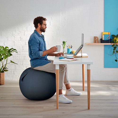 Actieve zitbal Leitz Ergo Cosy grijs 1 Stuk-1