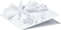 Fotokarton Folia 2z 50x70cm 300gr nr00 wit 1 Stuk-1