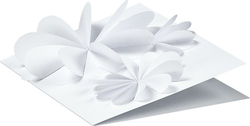 Fotokarton Folia 2z 50x70cm 300gr nr00 wit 1 Stuk-1