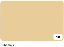 Fotokarton Folia 2z 50x70cm 300gr nr10 chamois 1 Stuk