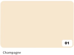 Fotokarton Folia 2z 50x70cm 300gr nr01 champagne 1 Stuk
