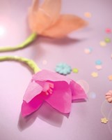 Crêpepapier Folia 250x50cm nr109 feloranje 1 Stuk-3