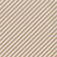 Inpakpapier Special Wrap 200mx70cm kraft ass 1 Rol-1