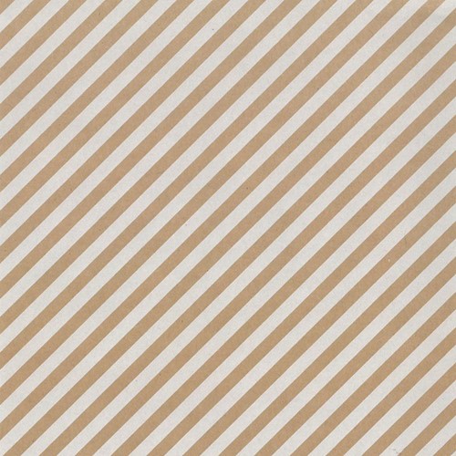 Apparaatrol Special Wrap 200mx50cm kraft streep wt 1 Rol