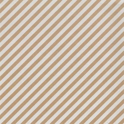 Apparaatrol Special Wrap 200mx30cm kraft streep wt 1 Rol