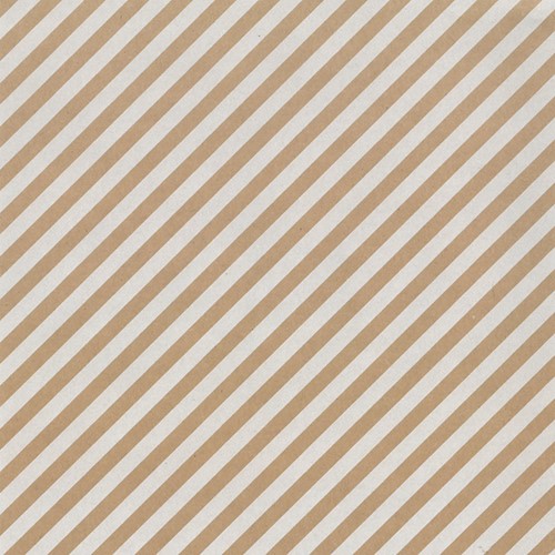 Apparaatrol Special Wrap 200mx30cm kraft streep wt 1 Rol
