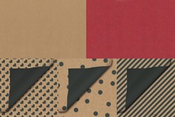 Cadeauzak Special Wrap 12x19cm kraft zw en wt ass 1000 Stuk