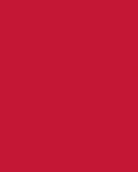 Etalagekarton Folia 1z 48x68cm 380gr nr211 rood 1 Stuk