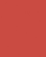 Etalagekarton Folia 1z 48x68cm 380gr nr929 flr rd 1 Stuk