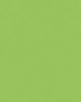 Etalagekarton Folia 1z 48x68cm 380gr nr941 fl gn 1 Stuk