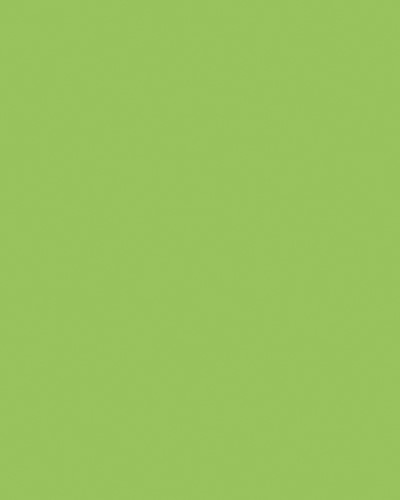 Etalagekarton Folia 1z 48x68cm 380gr nr941 fl gn 1 Stuk