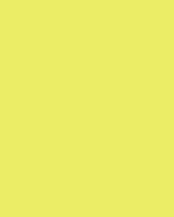 Etalagekarton Folia 1z 48x68cm 380gr nr911 fl gl 1 Stuk
