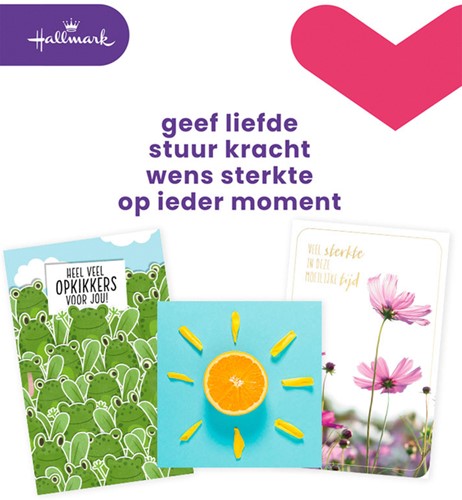 Wenskaart Hallmark navulset beterschap 12 stuks 12 Stuk
