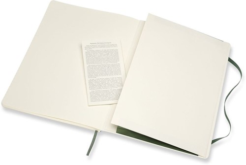 Notitieboek Moleskine XL 190x250 ln sc myrt gn 1 Stuk-1