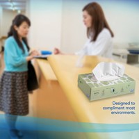 Facial tissues Scott 2laags 100 vel wit 1 Stuk-4