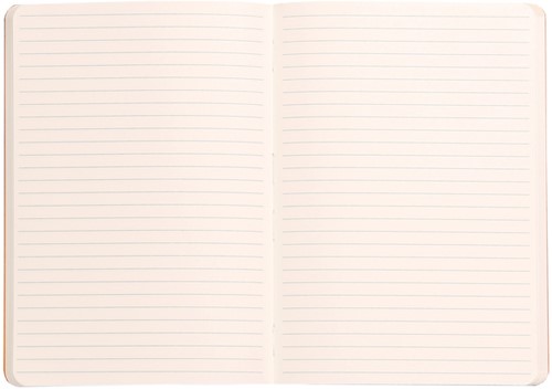 Notitieboek Rhodia A5 lijn 80 vel 90gr nachtblauw 1 Stuk-2