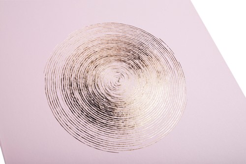 Fotoalbum Exacompta 29x32cm 60pag Ellipse roze 1 Stuk-3