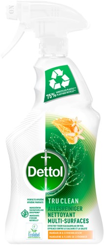 Allesreiniger Dettol TC Mand en lemon spray 500ml 500 Milliliter