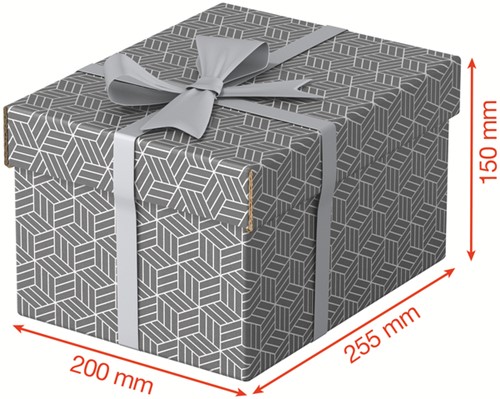 Opberg en geschenkdoos Esselte 200x150x255 3 Stuk-3