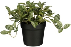 Kunstplant Mica Tradescantia in pot 16x16cm 1 Stuk