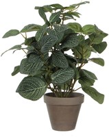 Kunstplant Mica Pilea in pot 35x25cm 1 Stuk