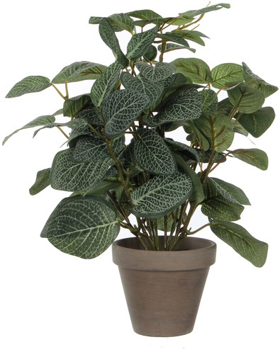 Kunstplant Mica Pilea in pot 35x25cm 1 Stuk