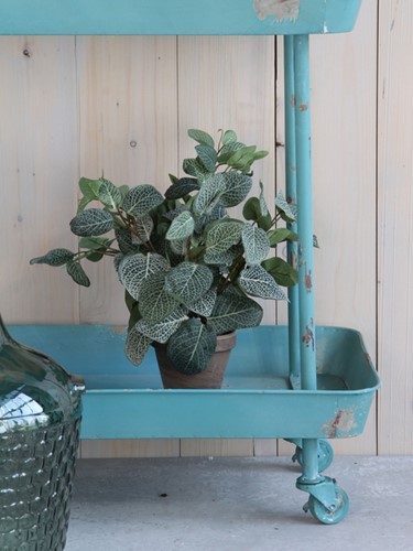 Kunstplant Mica Pilea in pot 35x25cm 1 Stuk-2