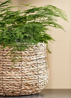 Plantenmand Mica Avalon zeegras rond l.bruin 1 Stuk-1