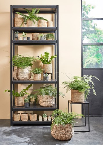 Plantenmand Mica Avalon zeegras 31x30cm lichtbruin 1 Stuk-2