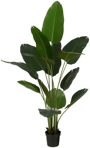 Kunstplant Mica Bananen boom in pot 1 Stuk