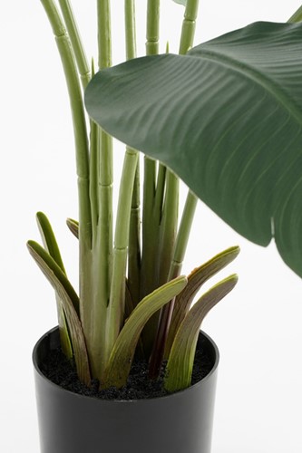 Kunstplant Mica Bananen boom in pot 1 Stuk-2
