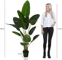 Kunstplant Mica Bananen boom in pot 1 Stuk-3