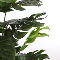 Kunstplant Mica Monstera in plastic pot 1 Stuk-3