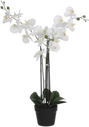 Kunstplant Mica Phalaenopsis orchidee wit 1 Stuk