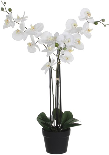Kunstplant Mica Phalaenopsis orchidee wit 1 Stuk