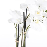Kunstplant Mica Phalaenopsis orchidee wit 1 Stuk-2
