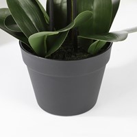 Kunstplant Mica Phalaenopsis orchidee wit 1 Stuk-3