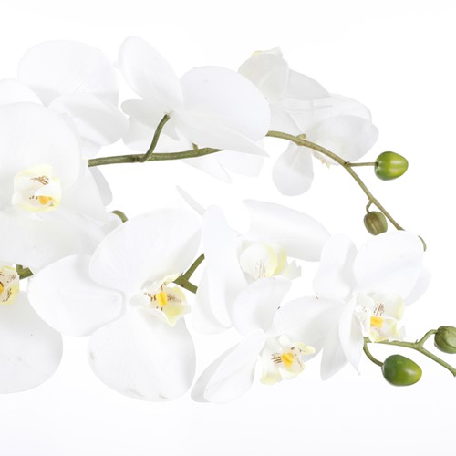 Kunstplant Mica Phalaenopsis orchidee wit 1 Stuk-1