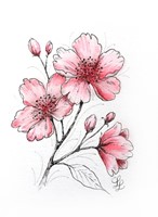 Tekenset Sakura Creative Kit Cherry Blossom 6 Stuk-3